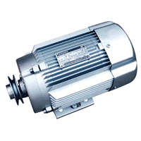 Explosion-proof Motor U701-B